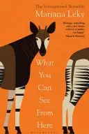 Book cover of What You Can See from Here