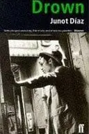 Book cover of Drown