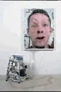 Book cover of Tim Hawkinson
