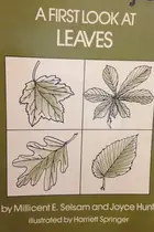Book cover of A First Look at Leaves
