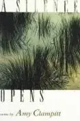 Book cover of A Silence Opens