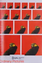 Book cover of Ordinary Pictures