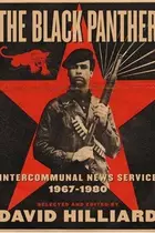 Book cover of The Black Panther