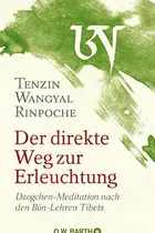 Book cover of Der direkte Weg zur Erleuchtung