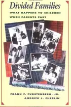 Book cover of Divided families