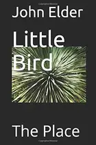 Book cover of Little Bird