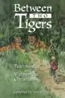 Book cover of Between Two Tigers