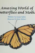 Book cover of Amazing world of butterflies and moths