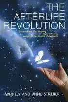 Book cover of Afterlife Revolution