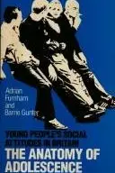 Book cover of The anatomy of adolescence