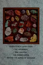 Book cover of Bright horizons: a collection, book 5