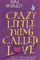 Book cover of Crazy Little Thing Called Love