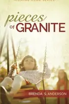 Book cover of Pieces of Granite