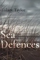 Book cover of Sea Defences