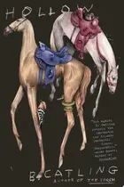Book cover of Hollow