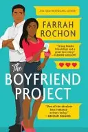 Book cover of The Boyfriend Project