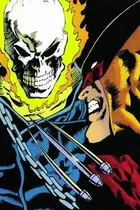 Book cover of Wolverine: Origins & Endings