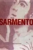 Book cover of Julião Sarmento