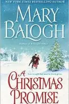 Book cover of A Christmas Promise
