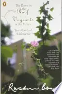 Book cover of The Room on the Roof