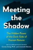 Book cover of Meeting the Shadow