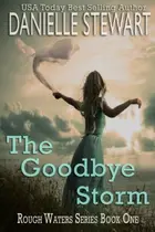Book cover of The Goodbye Storm