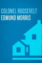 Book cover of Colonel Roosevelt