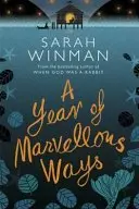 Book cover of A Year of Marvellous Ways