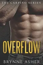 Book cover of Overflow