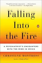 Book cover of Falling Into the Fire