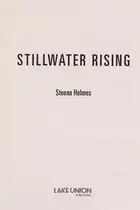 Book cover of Stillwater rising