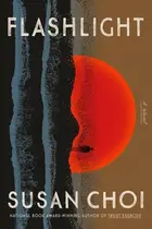 Book cover of Flashlight