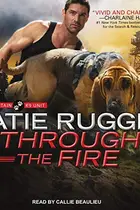 Book cover of Through the Fire