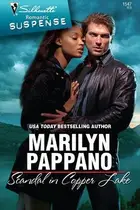 Book cover of Scandal in Copper Lake