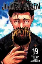 Book cover of Jujutsu Kaisen, Vol. 19