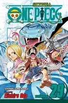 Book cover of One Piece, Vol. 29