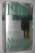 Book cover of 1916 A Novel of the Irish Rebellion