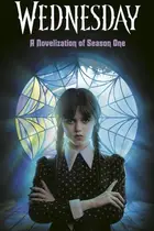 Book cover of Wednesday YA Novel #1