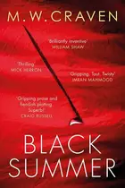 Book cover of Black Summer