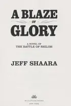 Book cover of A blaze of glory