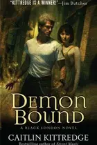 Book cover of Demon Bound