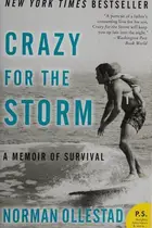 Book cover of Crazy for the Storm