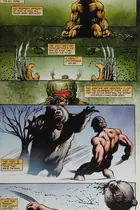 Book cover of Wolverine