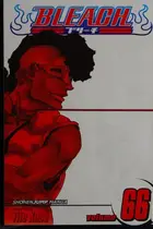 Book cover of Bleach, Vol. 66: Sorry I Am Strong