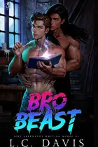 Book cover of Bro and the Beast 3