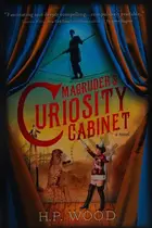 Book cover of Magruder's Curiosity Cabinet