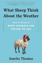 Book cover of What Sheep Think About the Weather