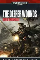 Book cover of Sabbat Crusade: The Deeper Wounds