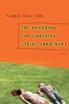 Book cover of The handbook for lightning strike survivors