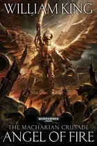 Book cover of Angel of Fire